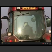 Pies za kierownicą traktora