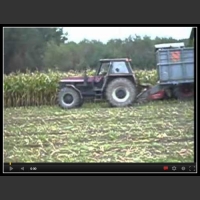 akcja kukurydza 2010 podlasie
